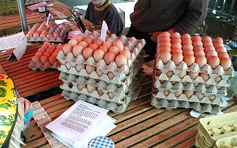 eier_markt.JPG (28507 Byte)