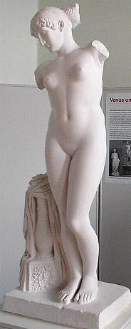 gips_venus.JPG (13706 Byte)