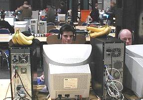 lan_banane.JPG (17939 Byte)