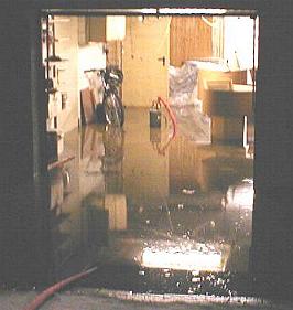 leine_dez02_3.JPG (14981 Byte)