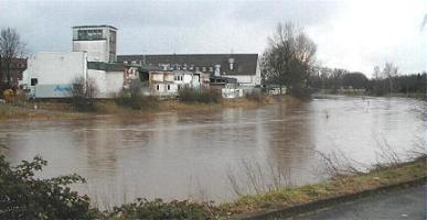 leine_jan03_13.jpg (14051 Byte)