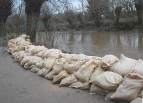 leine_jan03_14.JPG (12178 Byte)