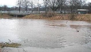 leine_jan03_4.jpg (17026 Byte)