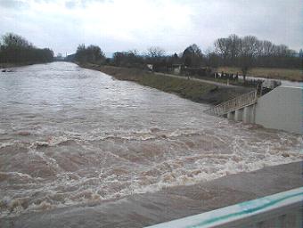 leine_jan03_9.JPG (16618 Byte)