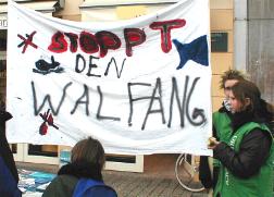 greenpeace_walfang.JPG (13043 Byte)